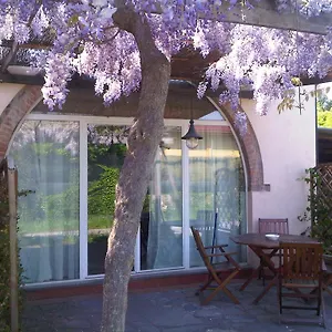 Le Navi Antiche Ferienhaus Pisa